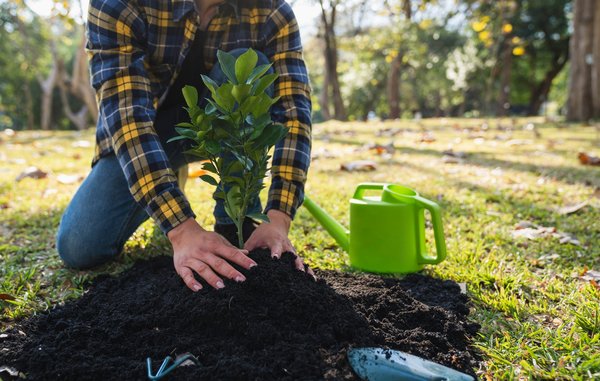 Meubles en carton : l'élégance éco-responsable en design moderne
